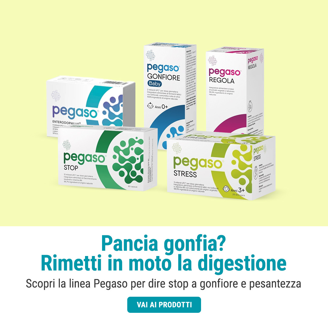 linea pegaso